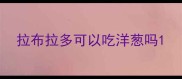 拉布拉多可以吃洋葱吗