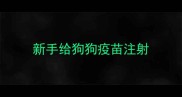 新手给狗狗疫苗注射
