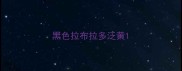 黑色拉布拉多泛黄