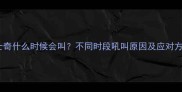 哈士奇什么时候会叫不同时段吼叫原因及应对方法