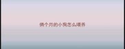 俩个月的小狗怎么喂养