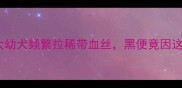 紧急处理2月大幼犬频繁拉稀带血丝黑便竟因这3个致命错误