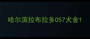 哈尔滨拉布拉多057犬舍