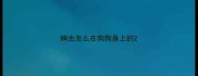 蜱虫怎么在狗狗身上的