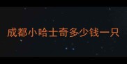 成都小哈士奇多少钱一只