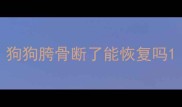 狗狗胯骨断了能恢复吗