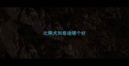 比熊犬和泰迪哪个好