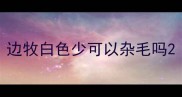 边牧白色少可以杂毛吗