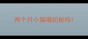 两个月小猫喝奶粉吗