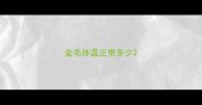 金毛体温正常多少
