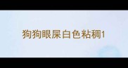 狗狗眼屎白色粘稠