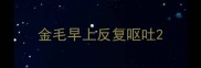 金毛早上反复呕吐
