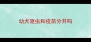幼犬驱虫和疫苗分开吗