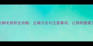 金毛犬脚毛修剪全攻略正确方法与注意事项让狗狗健康又美观