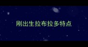 刚出生拉布拉多特点