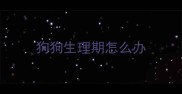 狗狗生理期怎么办