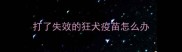 打了失效的狂犬疫苗怎么办