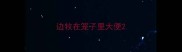 边牧在笼子里大便