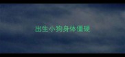 出生小狗身体僵硬