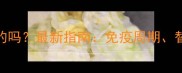 狗狗每年打疫苗是必须的吗最新指南免疫周期替代方案与疫苗副作用全