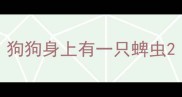 狗狗身上有一只蜱虫