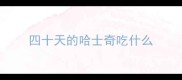 四十天的哈士奇吃什么