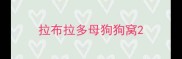 拉布拉多母狗狗窝