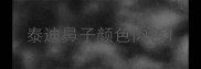 泰迪鼻子颜色肉色