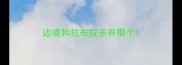 边境和拉布拉多养哪个
