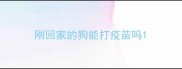 刚回家的狗能打疫苗吗