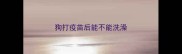 狗打疫苗后能不能洗澡