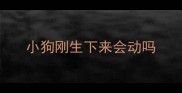小狗刚生下来会动吗