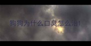 狗狗为什么口臭怎么治