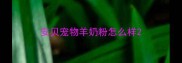 安贝宠物羊奶粉怎么样