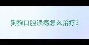 狗狗口腔溃疡怎么治疗