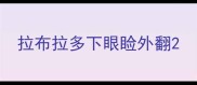 拉布拉多下眼睑外翻