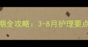 柯基犬换牙期全攻略3-8月护理要点与常见误区