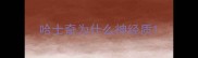 哈士奇为什么神经质