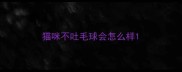 猫咪不吐毛球会怎么样