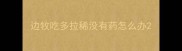 边牧吃多拉稀没有药怎么办