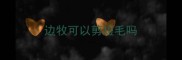 边牧可以剪短毛吗