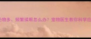 小狗眼睛分泌物多频繁揉眼怎么办宠物医生教你科学应对眼表问题
