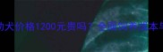 拉布拉多幼犬价格1200元贵吗全面饲养成本与选购指南