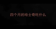 四个月的哈士奇吃什么