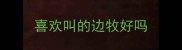 喜欢叫的边牧好吗