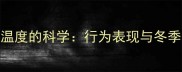 猫咪感知温度的科学行为表现与冬季护理指南