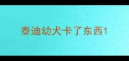 泰迪幼犬卡了东西
