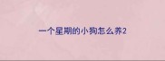 一个星期的小狗怎么养