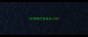 4岁狗狗打疫苗多少钱
