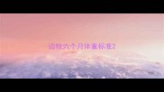 边牧六个月体重标准